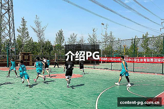 介绍PG